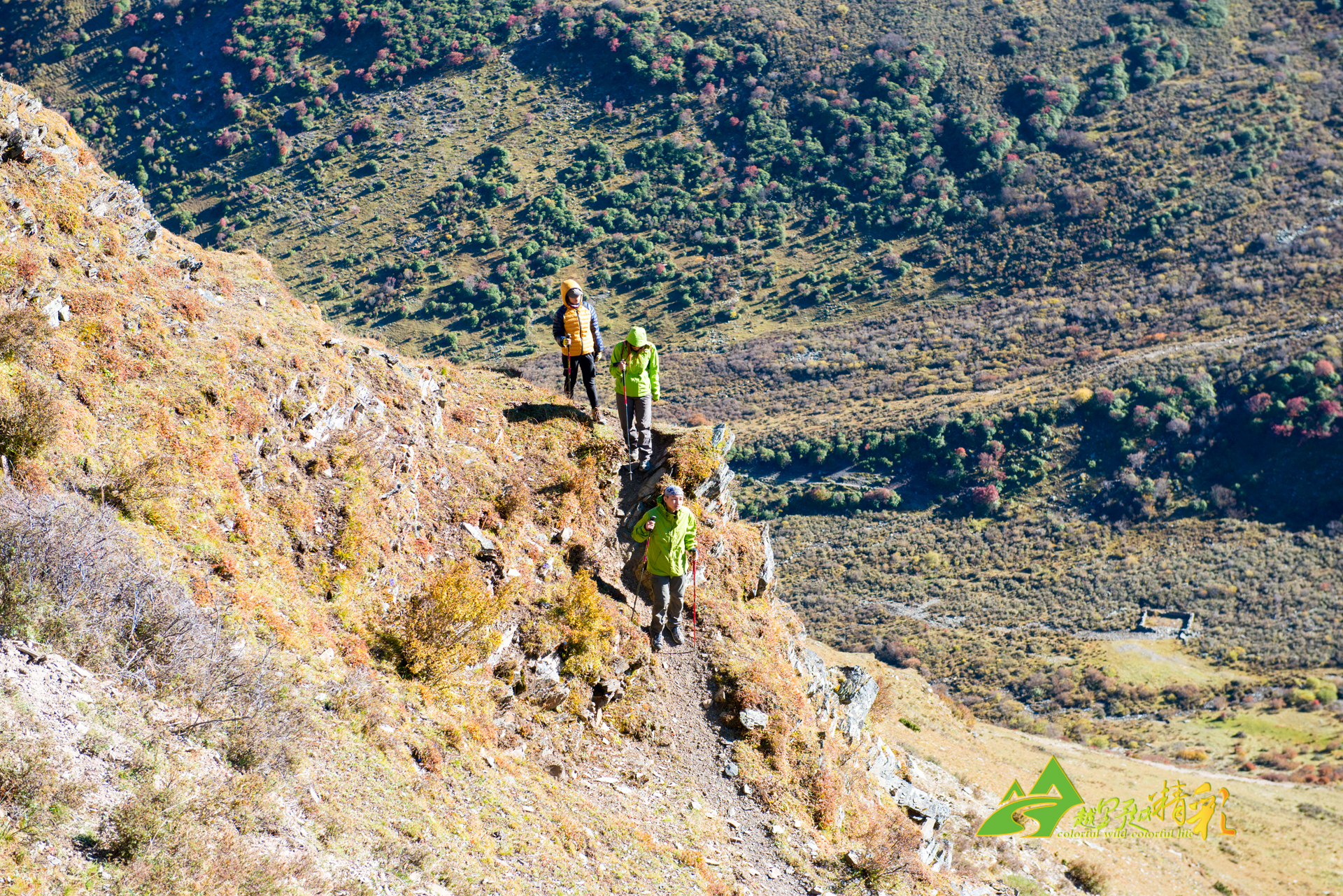 她均努力挑 她均努力挑
